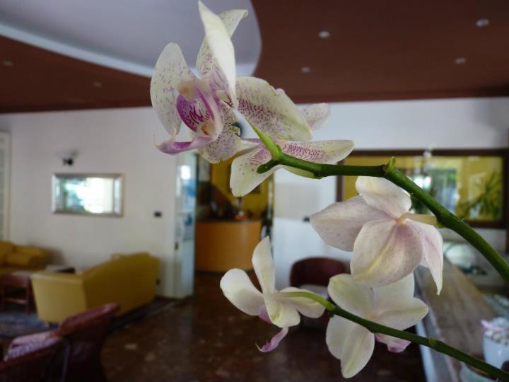 Hotel Gambrinus Lido di Jesolo Exterior photo